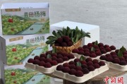 情侣算命高速赋能产业升级：一条“杨梅路”的致富密码