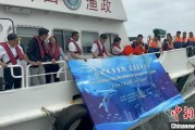 情侣算命浙江今年计划放流种类海洋水生生物苗种超15亿单位