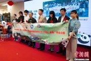 情侣算命中国彩绘熊猫艺术国际巡展东京站开幕