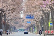 情侣算命共建“花园城市” 北京这场议政会“百花齐放”